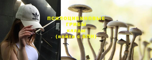 спиды Армянск