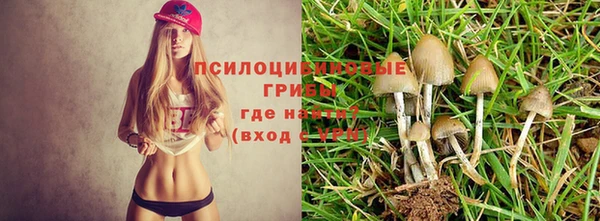 марихуана Баксан